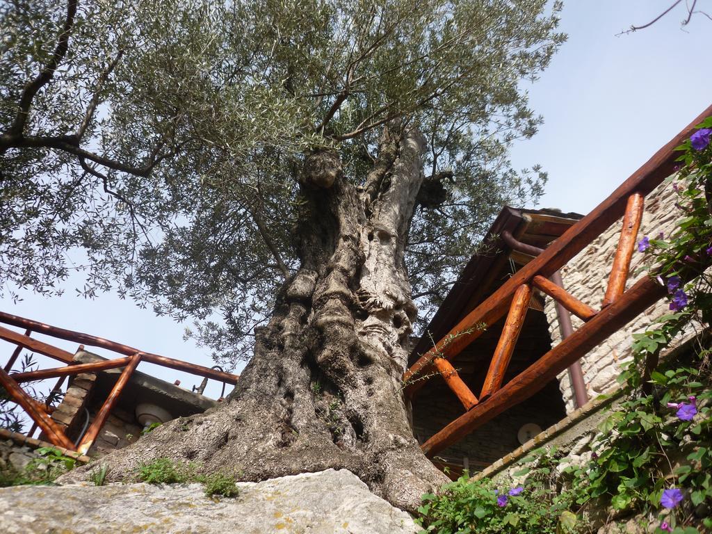 San Pantaleone Rocca Del Vento B&B 외부 사진