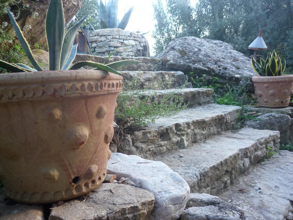 San Pantaleone Rocca Del Vento B&B 외부 사진
