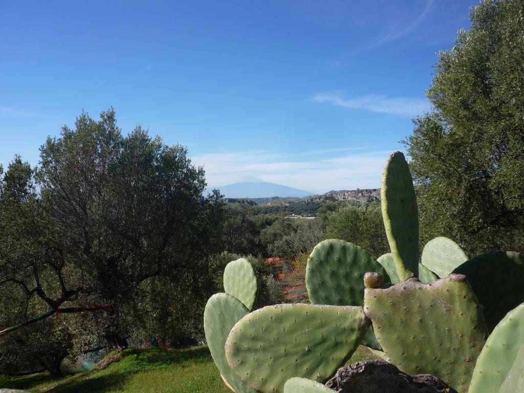 San Pantaleone Rocca Del Vento B&B 외부 사진