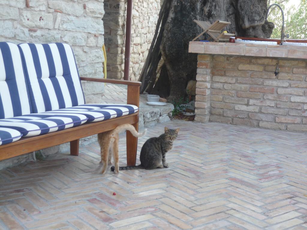 San Pantaleone Rocca Del Vento B&B 외부 사진