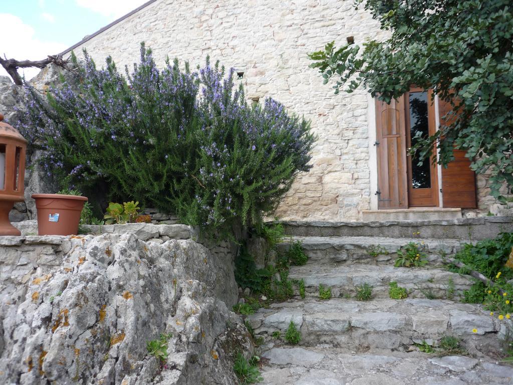San Pantaleone Rocca Del Vento B&B 객실 사진